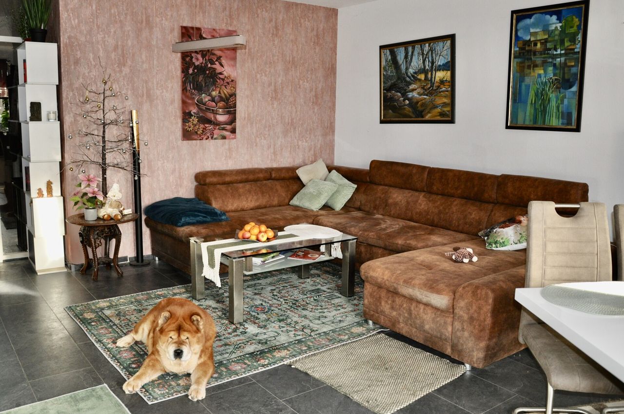 Ideal für Kapitalanleger: Langjährig vermietete 2 ZKB-Eigentumswohnung mit TG-Stellplatz!