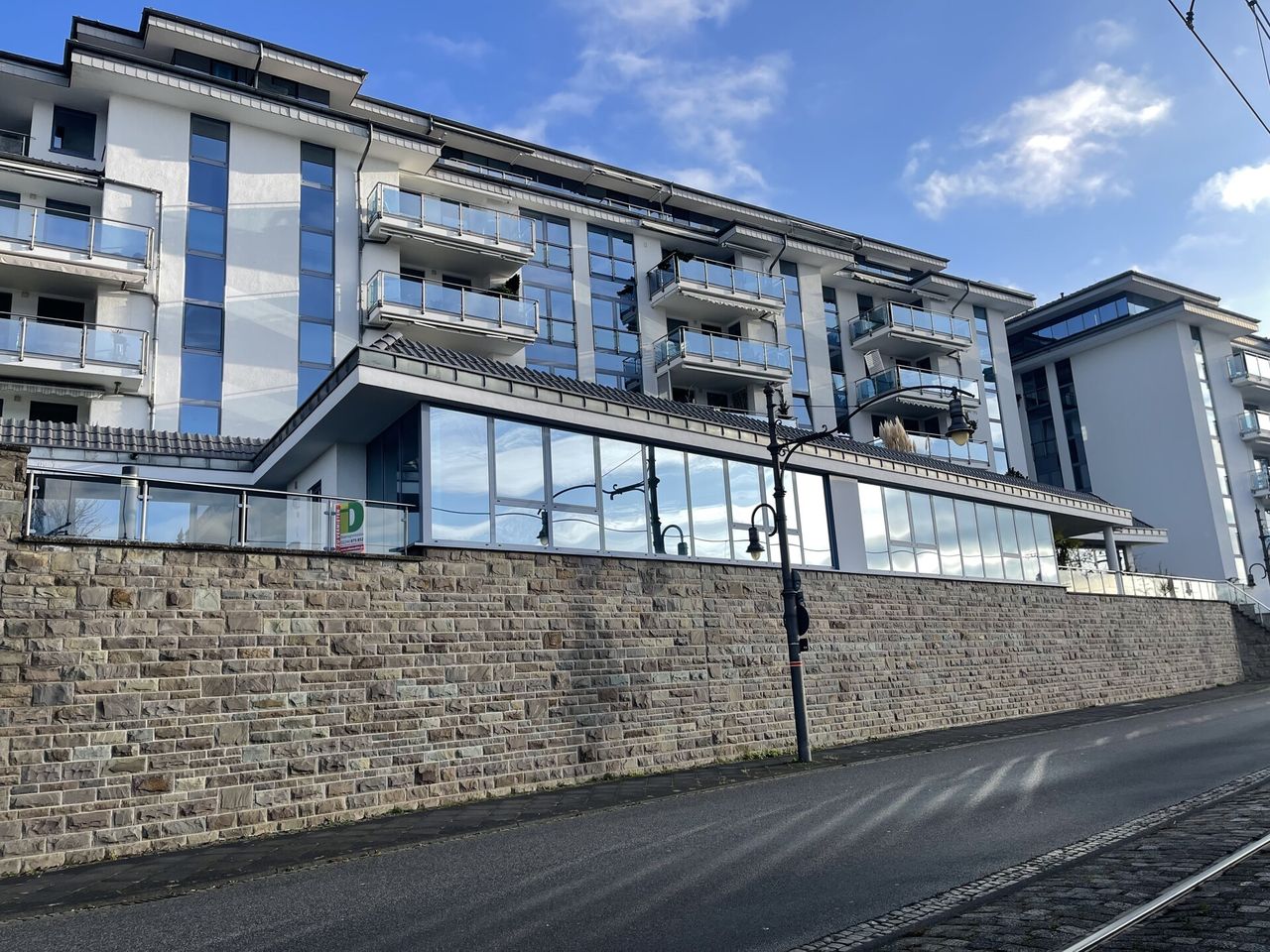 Traumhafte Wohnung nit Rheinblick