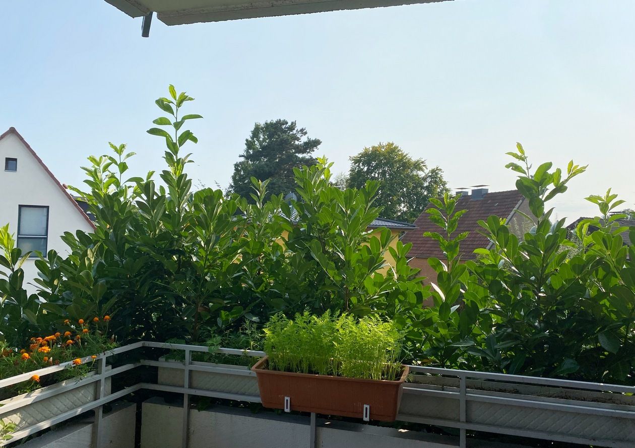 In Lückerath zu Hause