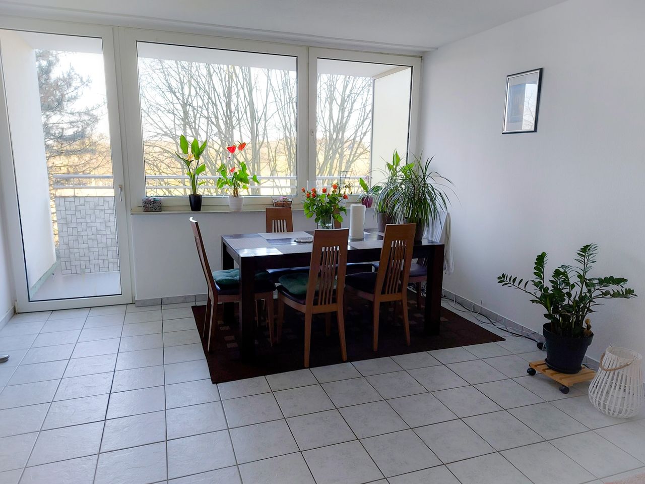 PRUIN KG Immobilien IVD