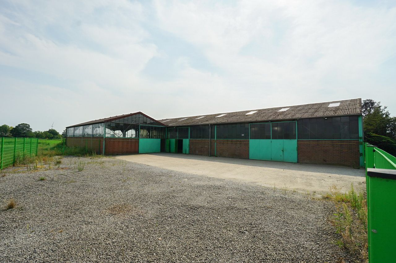 Frontansicht + Freifläche