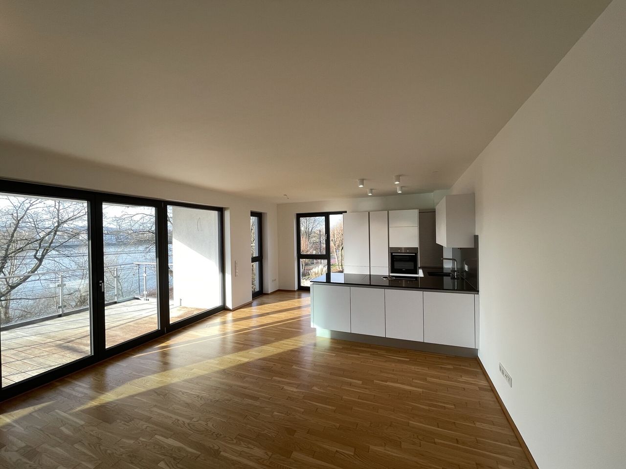Traumwohnung mit Rheinblick