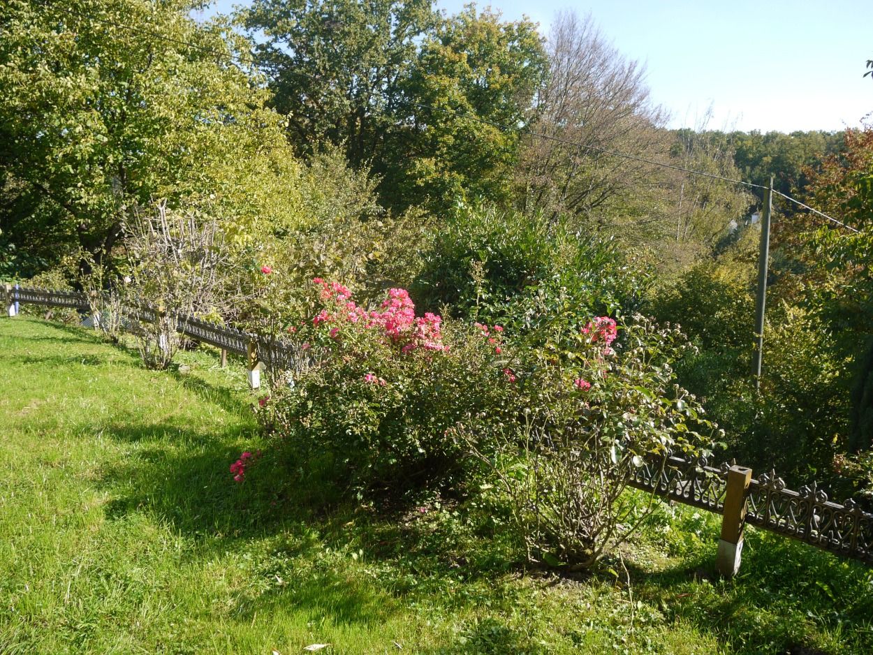 Tolle Einliegerwohnung mit eigenem Garten